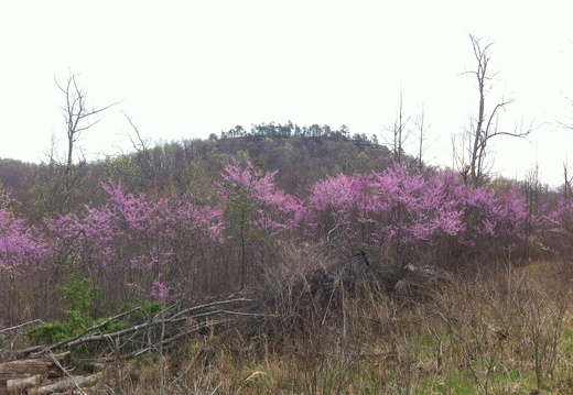 Lockegee Rock and Cave Run Lake